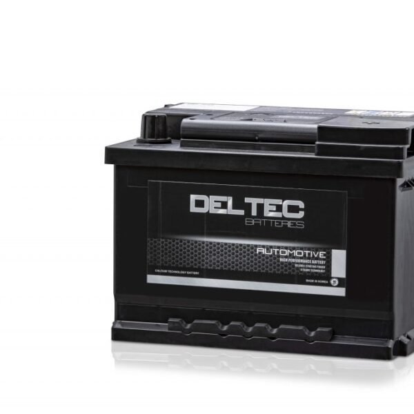 Deltec DIN53L MF Battery