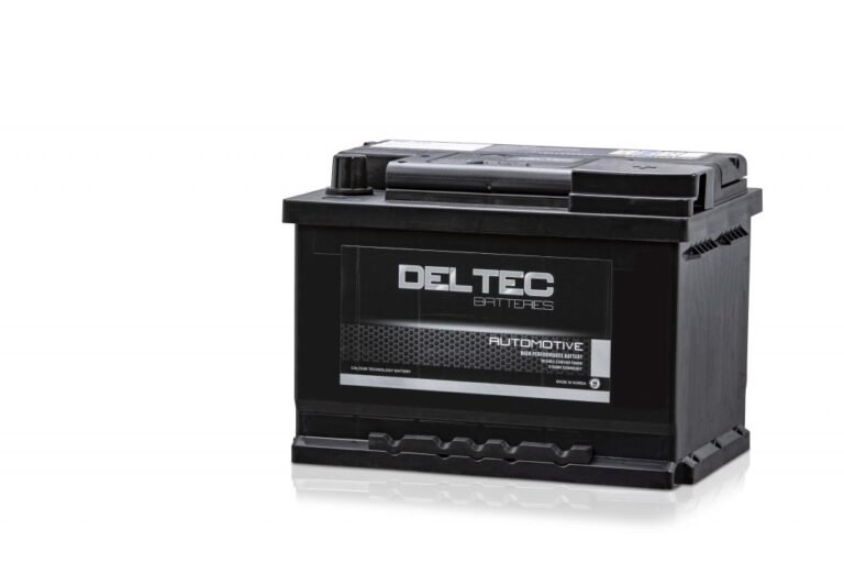 Deltec DIN53L MF Battery