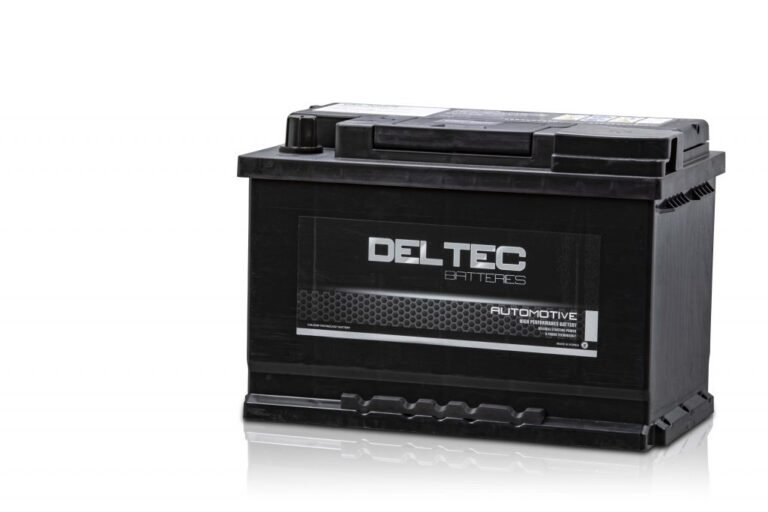 Deltec DIN65LH MF Battery