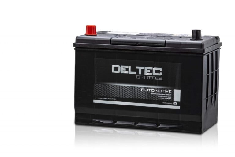 Deltec N70ZZ MF Battery