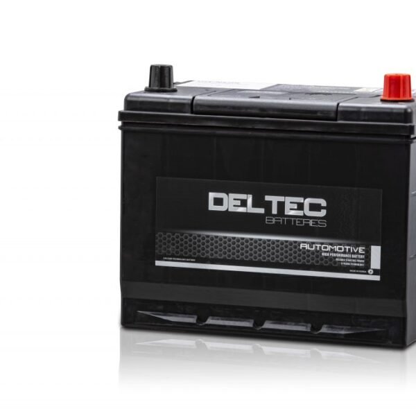 Deltec NS70L MF Battery