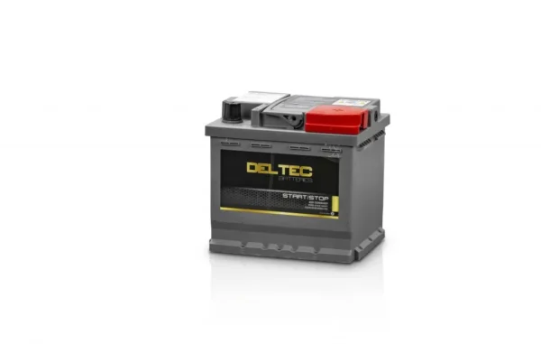 Deltec DIN44LH AGM ISS ACTIVE