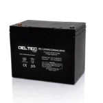 DEL-12V80D Standby AGM