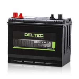 Deltec D31 DUAL PURPOSE FLOODED