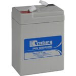 Century PS Series AGM Battery 6V 4.0Ah (PS640) PS645