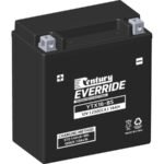 Century Motorcycle Maintenance Free AGM Battery YTX16-BS